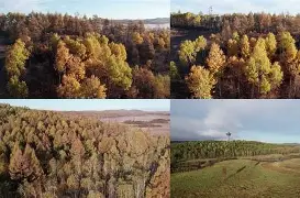 程序szsq-九游在线